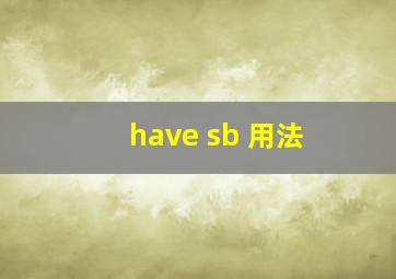 have sb 用法